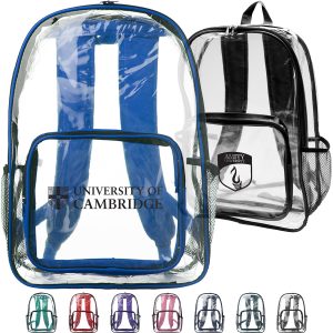 Custom Clear Plastic Backpack w/Mesh Pocket (13"x18")