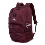 Custom High Sierra® Swoop SG Laptop Backpack - 1