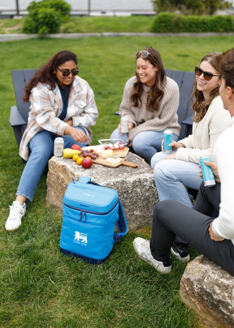 Custom Igloo Day Chiller Recycled Poly Backpack 24 Can Soft Cooler - Brilliant Blue - 7