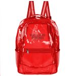 Custom See-Through Water-Resistant Eco Travel Backpack - 4